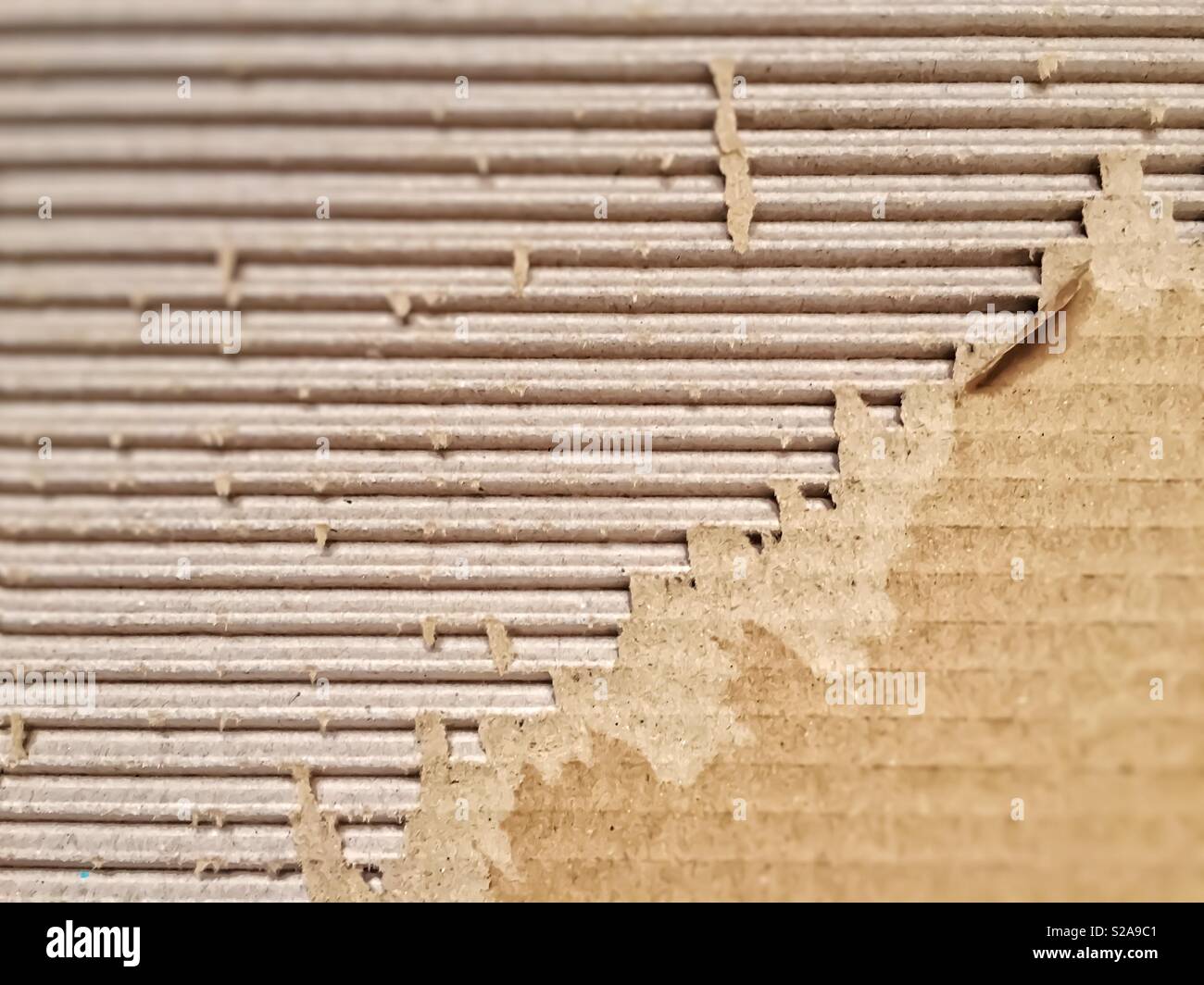 Vista ravvicinata di un cartone sottoposto a RIP. Il confezionamento e la scatola di cartone - Immagine stock catturata con smartphone