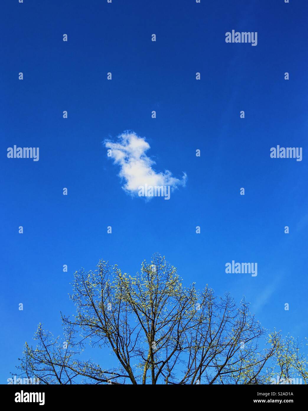 Singolo isolato nuvola sul cielo blu Foto Stock