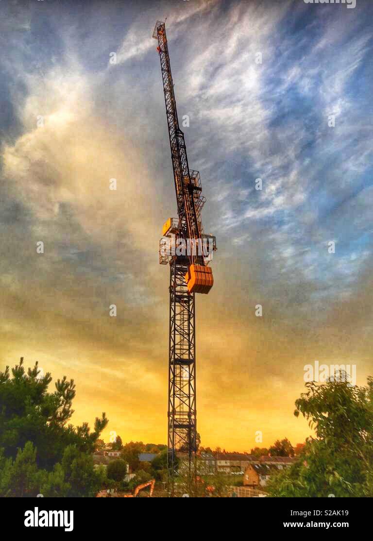 La gru al tramonto, nel nord di Londra Foto Stock