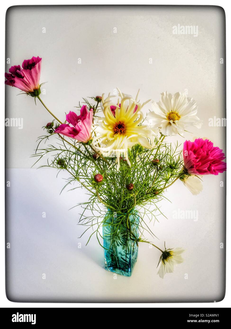 Fiori dell'universo - Immagine stock catturata con smartphone