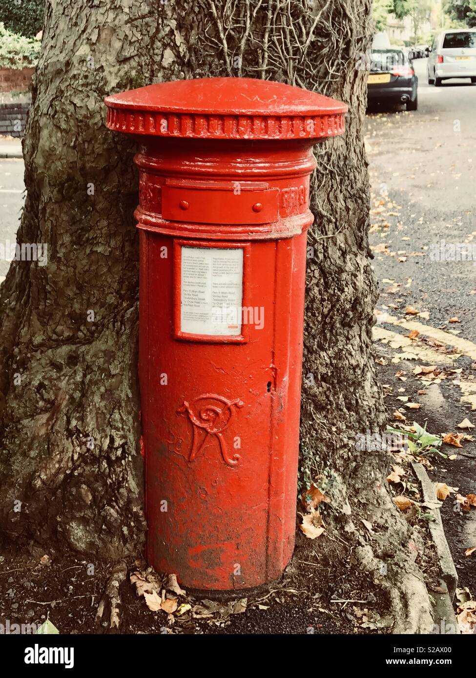 Postbox con un grande albero che cresce intorno ad esso - Immagine stock catturata con smartphone