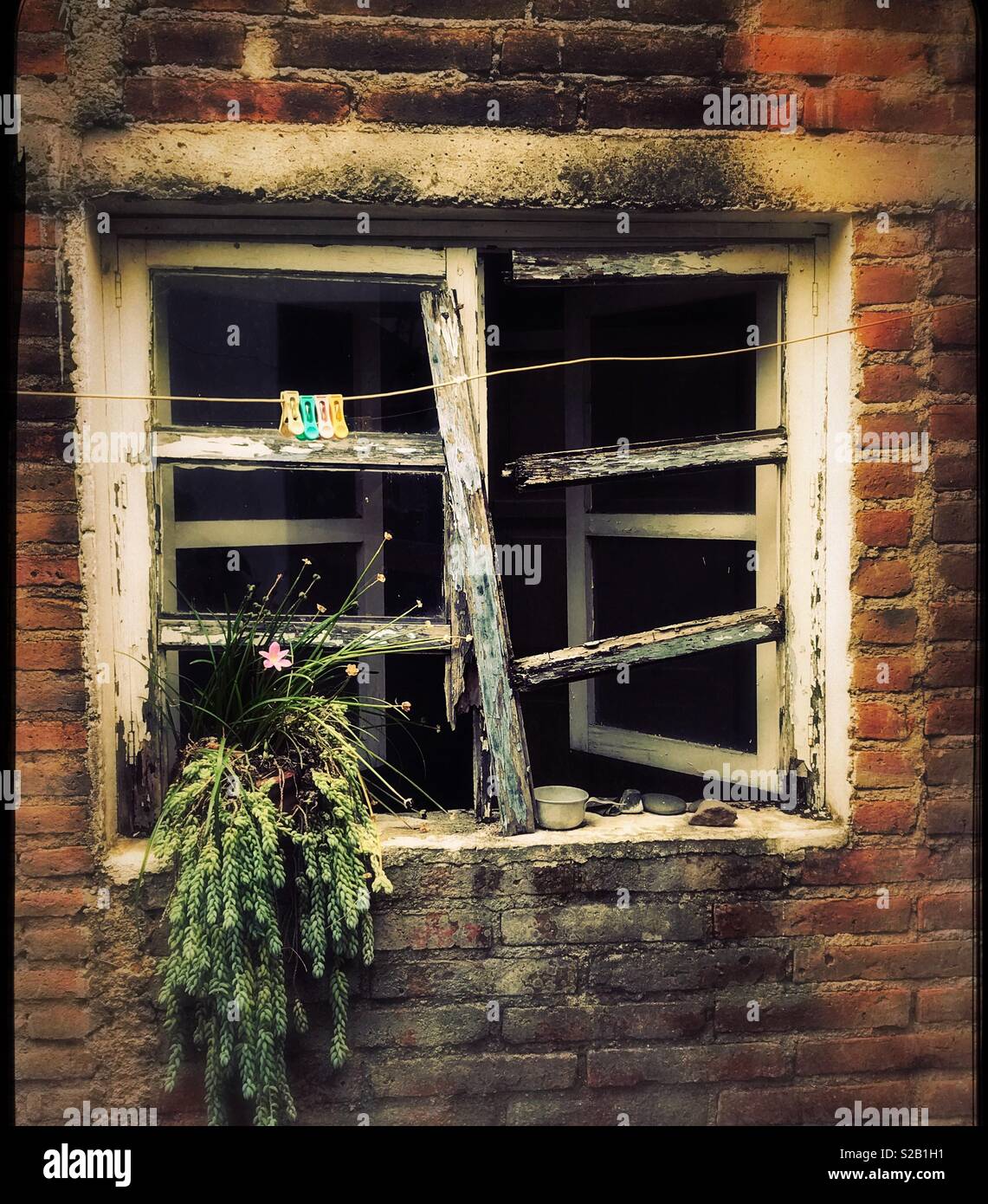 Uno stendibiancheria con clothespins e una pianta sana aggiungere la sensazione della vita per la rottura di una finestra verso il basso in un residence. Foto Stock