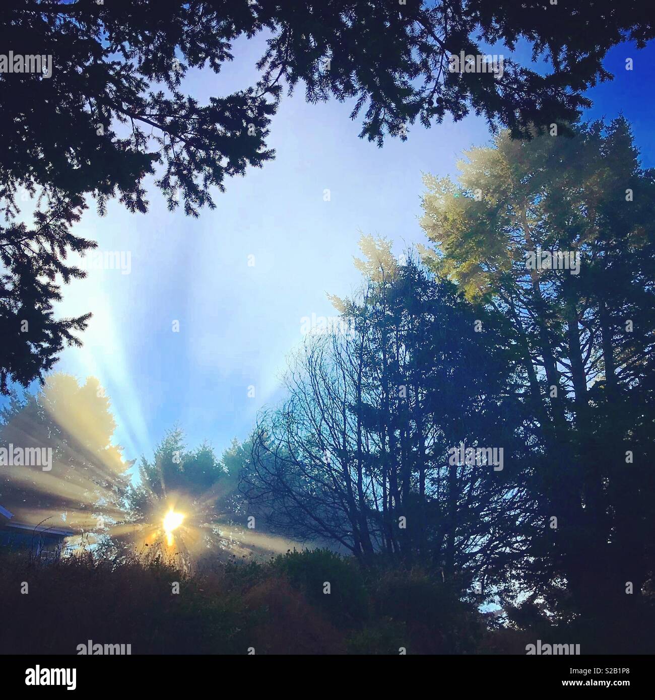 Luce del sole di mattina - Immagine stock catturata con smartphone