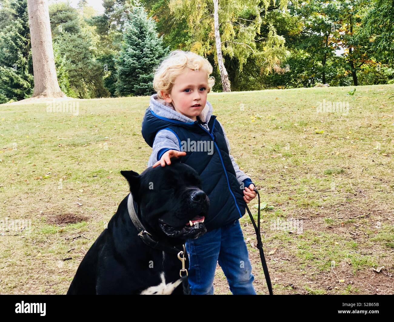 Little Boy passeggiate con il cane Foto Stock