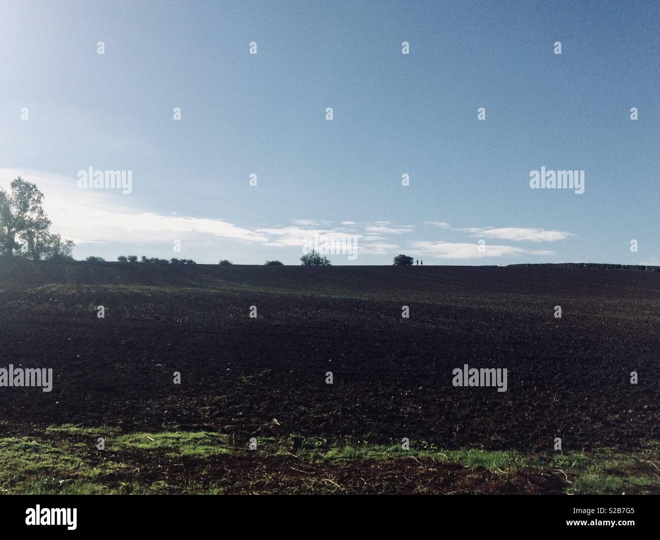 Cielo blu e un campo arato su un croccante di mattina di autunno Foto Stock