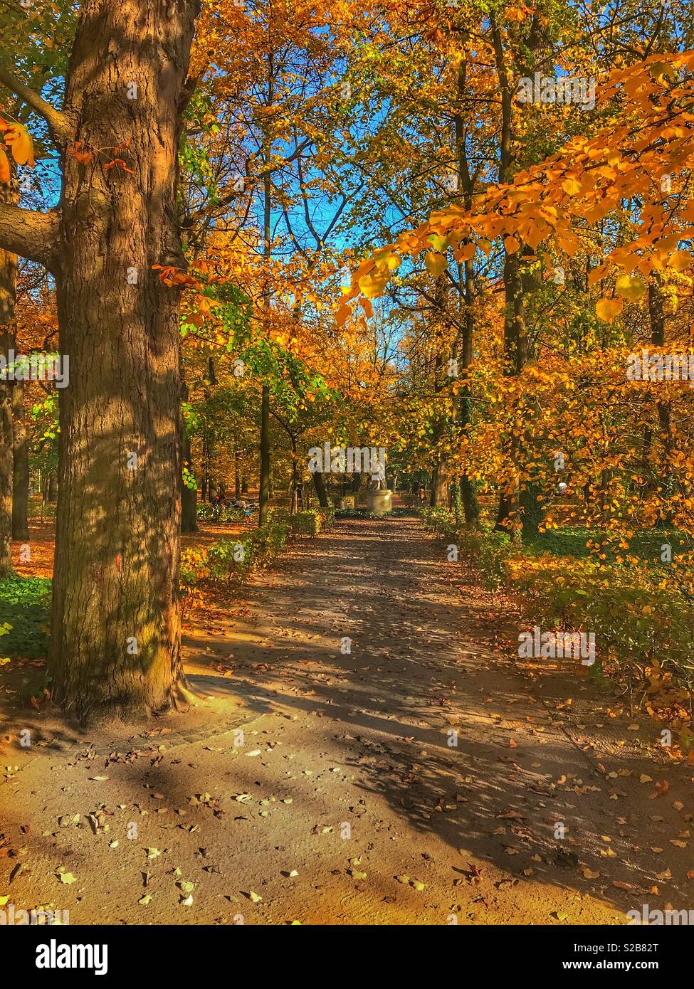 Bellissimi colori autunnali a un parco con foglie sul terreno Foto Stock