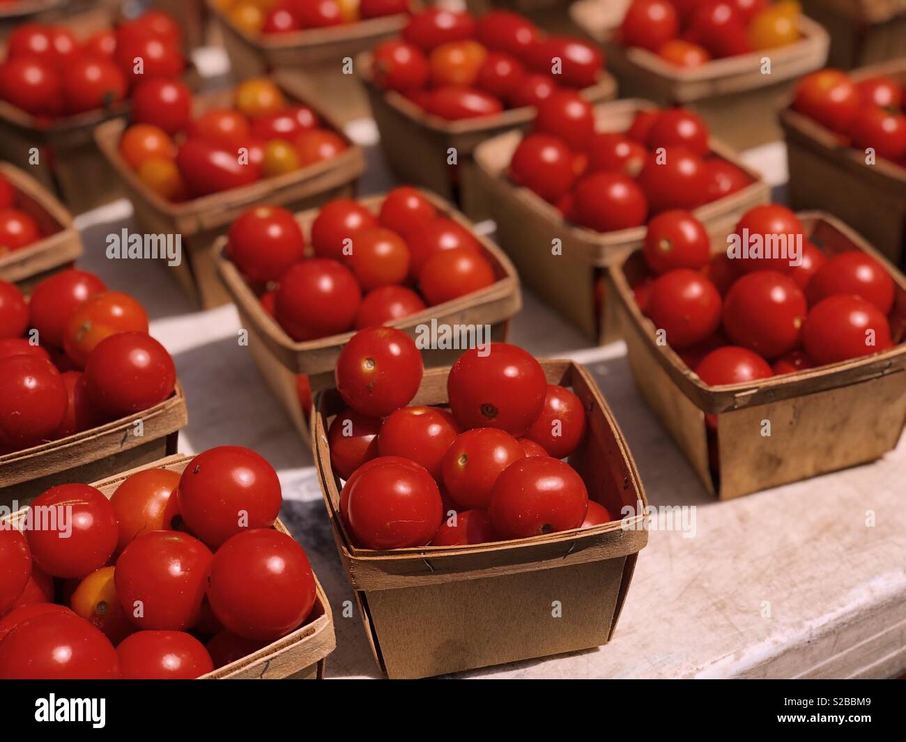 Rosso di pomodori ciliegini Foto Stock