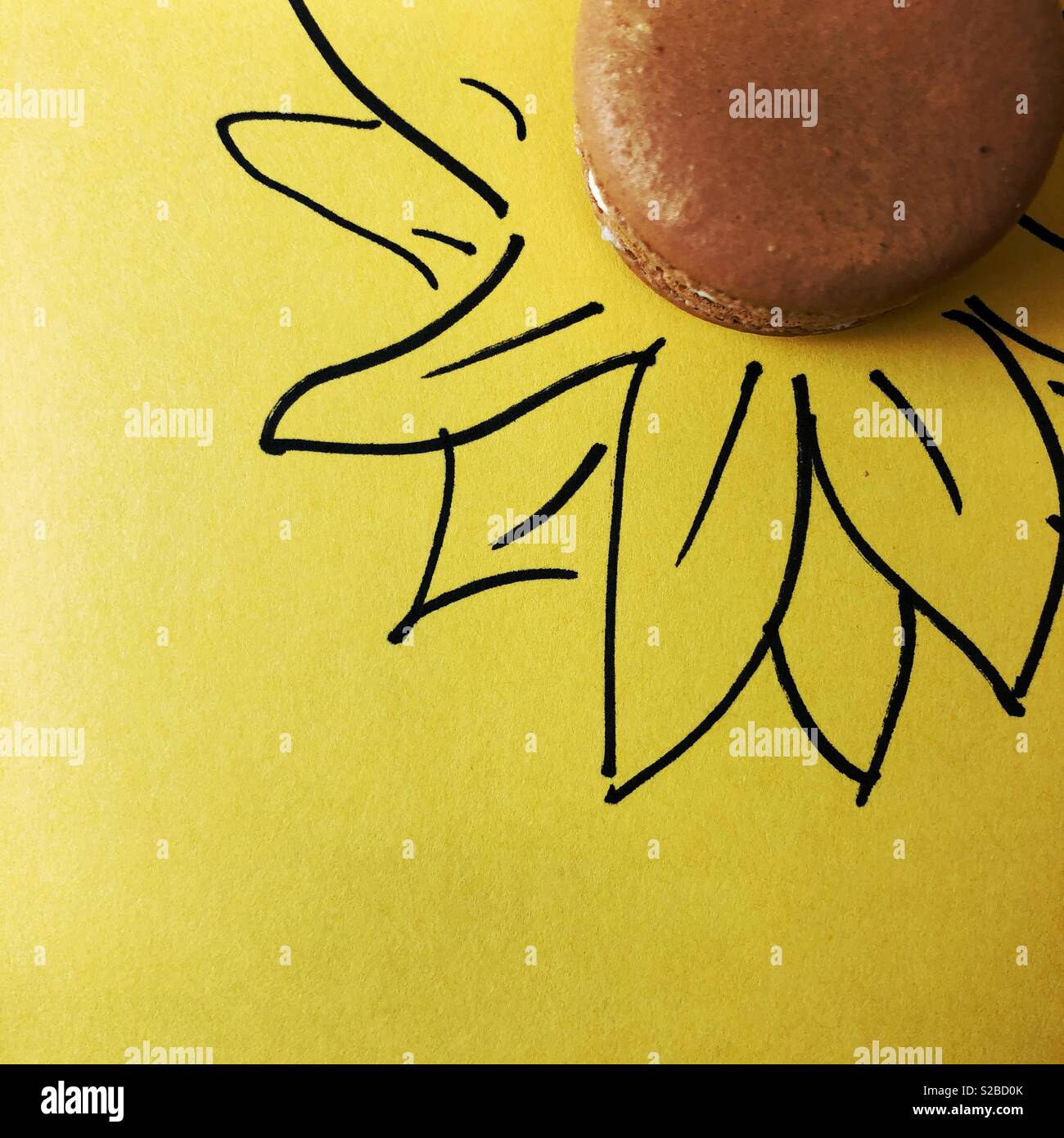 Fiore Dolci disegnato su carta con amaretto al cioccolato in medio Foto Stock