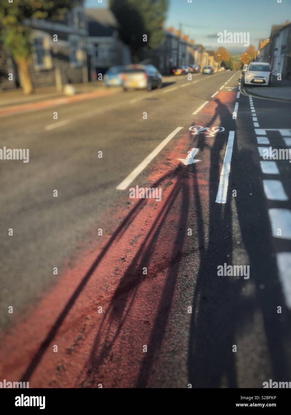 Ciclista ombra su una pista ciclabile, di prima mattina, attraversando la strada. Foto Stock