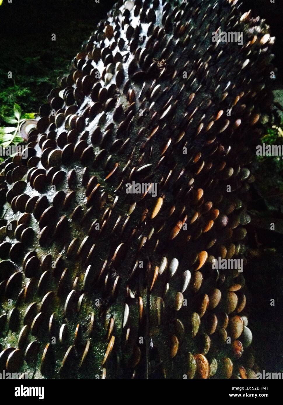 Buona fortuna penny tronco di albero, St Nectans Glen, Cornwall Foto Stock