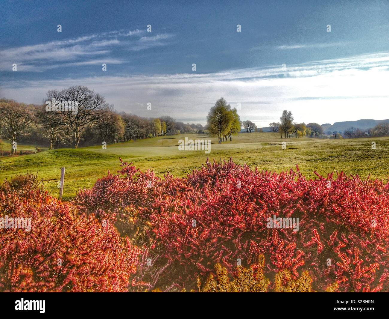 Rottura di alba golf Foto Stock