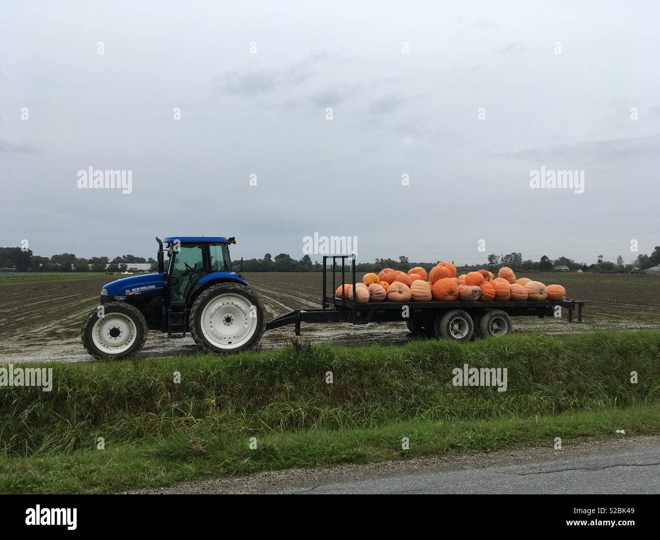 Trailer di zucca Foto Stock