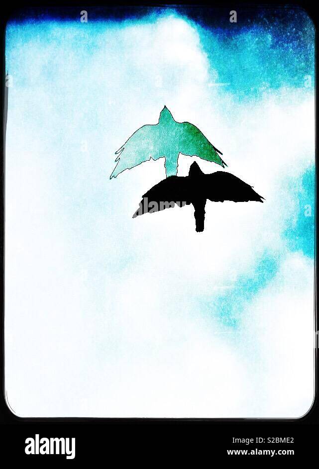 Crow con strani ombra sulle nuvole - Immagine stock catturata con smartphone