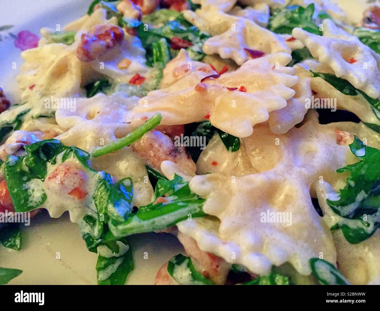 Close up di un gourmet piatto di pasta di farfalle, noci e rucola Foto Stock