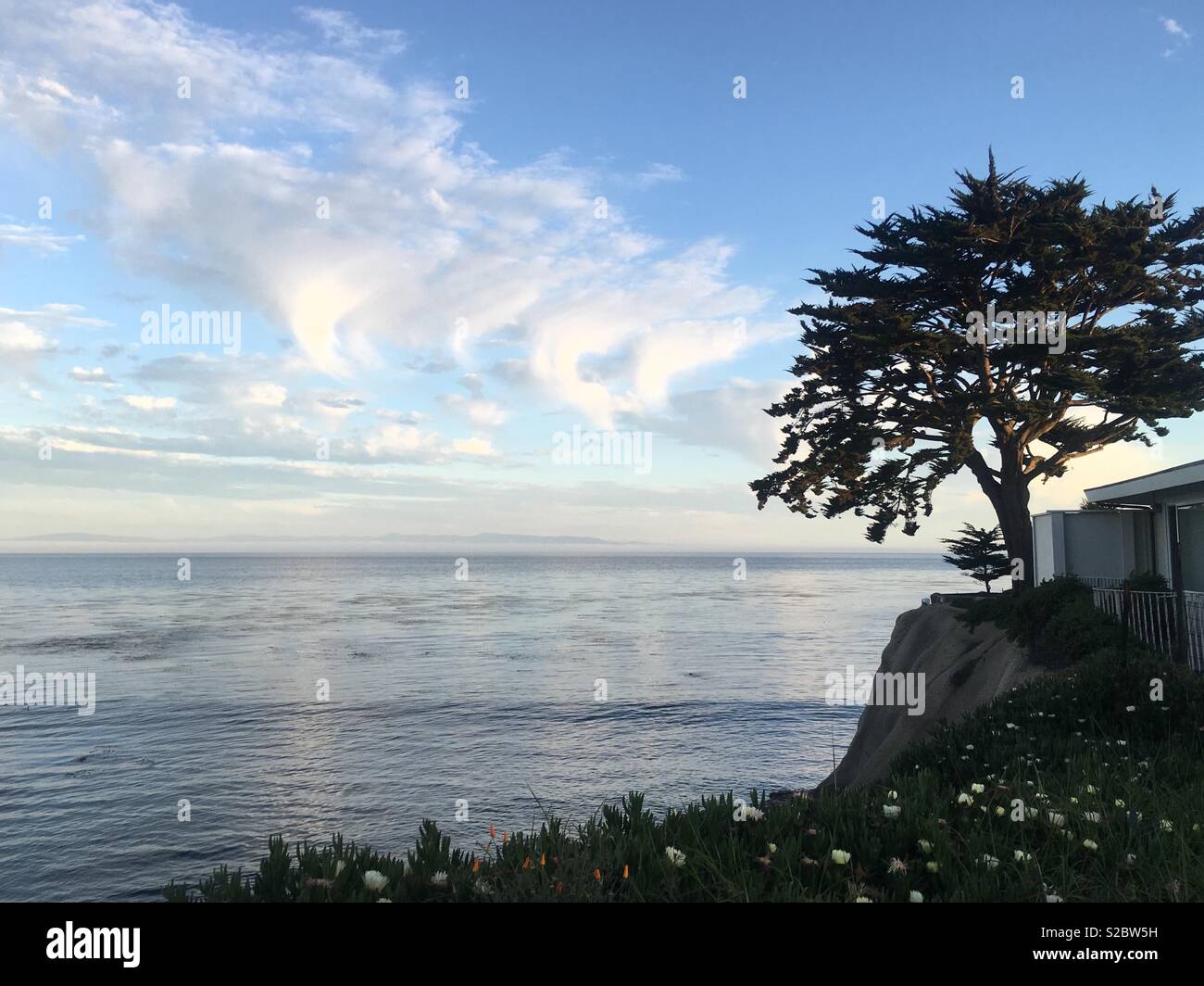 Silhouette Tree sulla scogliera accanto a Cloud riflessioni sulla Ocean Foto Stock