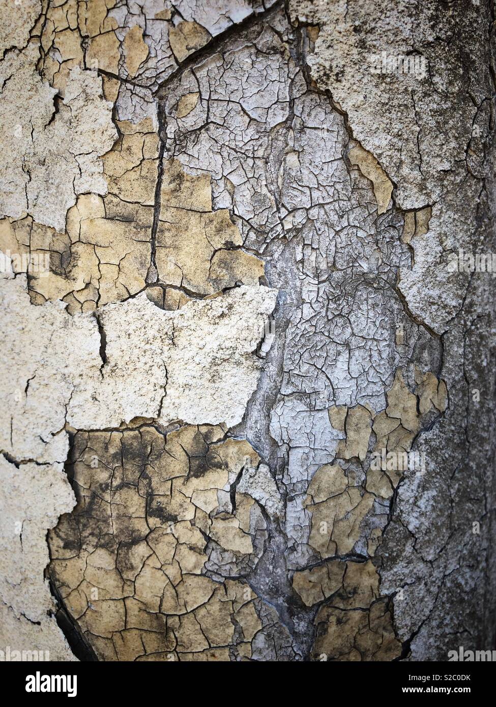 Dettaglio astratto di peeling paint trovato alla Ohmega Salvage di Berkeley, in California. - Immagine stock catturata con smartphone