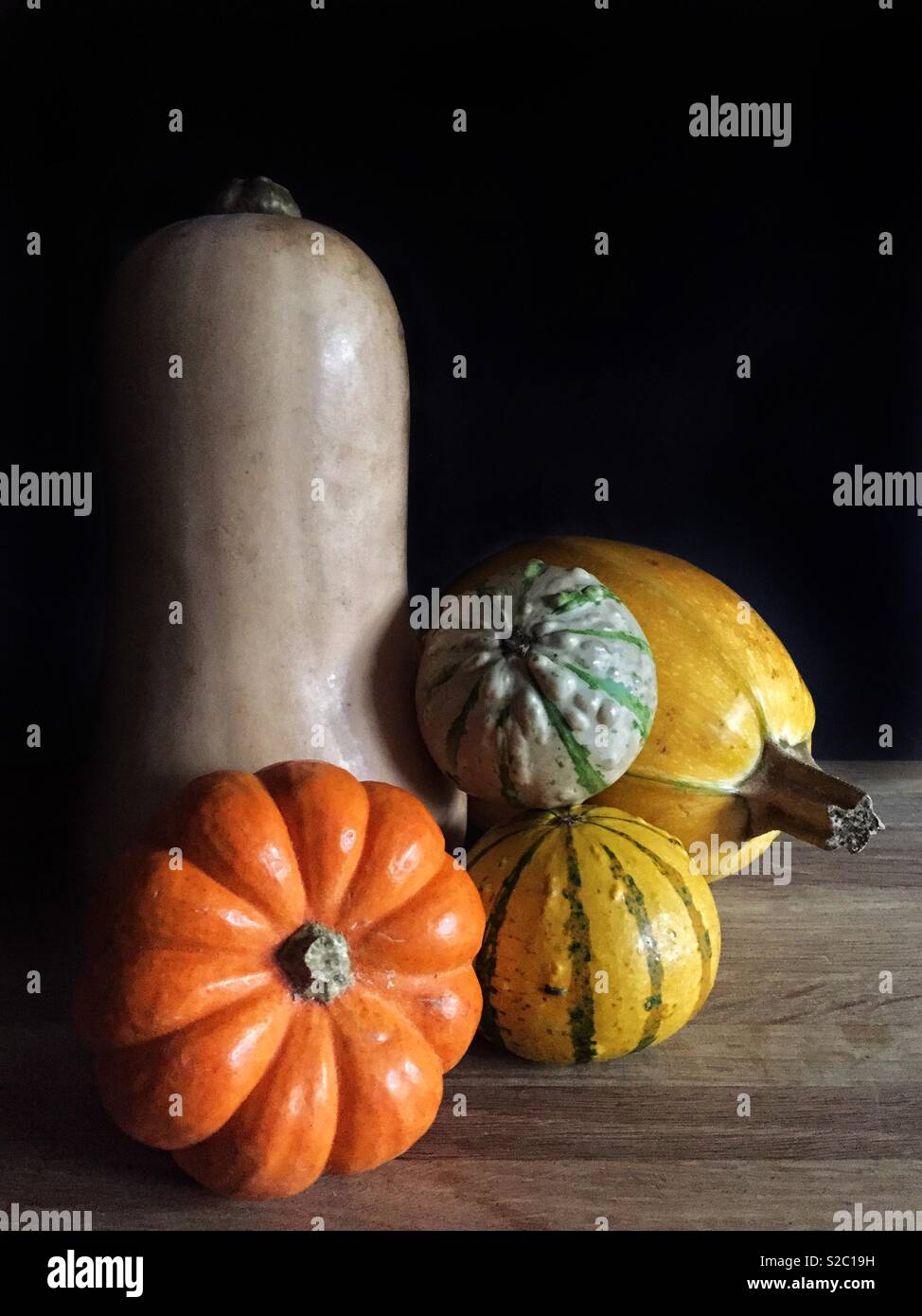 Una selezione di rustica invernale squash ortaggi con zucche, munchkins, la zucca e zucche ancora in un'immagine di vita Foto Stock