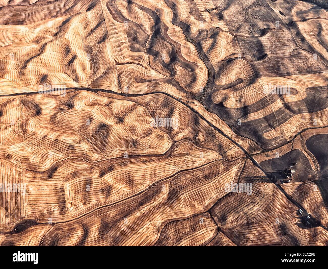 Campi dorati della Palouse dall'aeroplano Foto Stock
