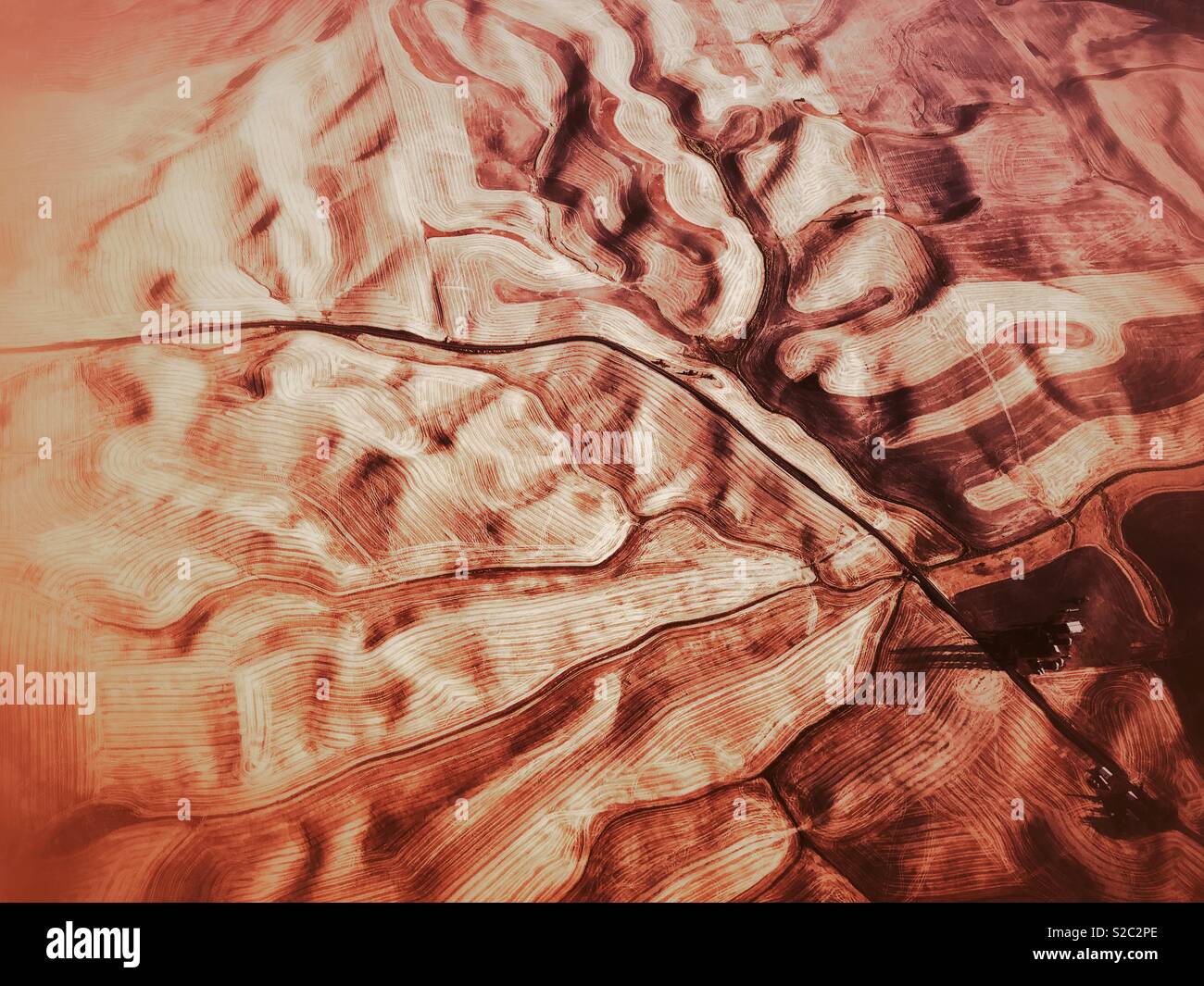 Campi dorati della Palouse dall'aeroplano Foto Stock