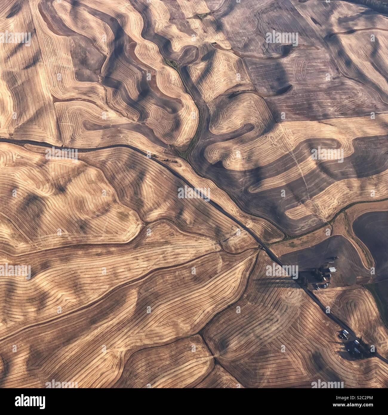 Modelli di campi dorati della Palouse dall'aeroplano Foto Stock