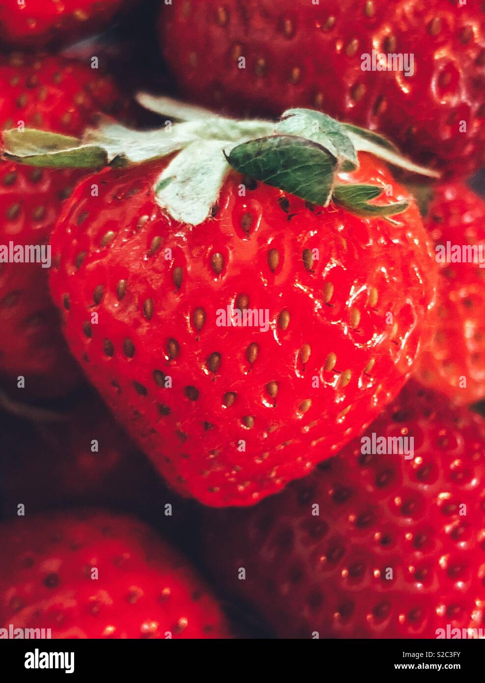 Primo piano della fresca fragola rossa con le fragole in background - Immagine stock catturata con smartphone