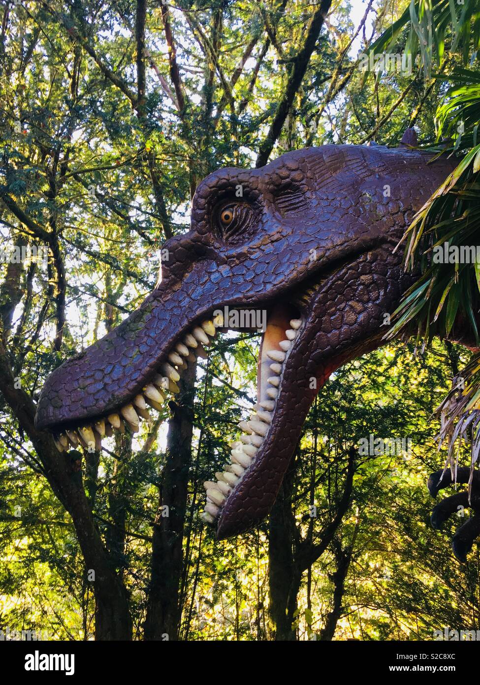 Dino sorpresa - Immagine stock catturata con smartphone
