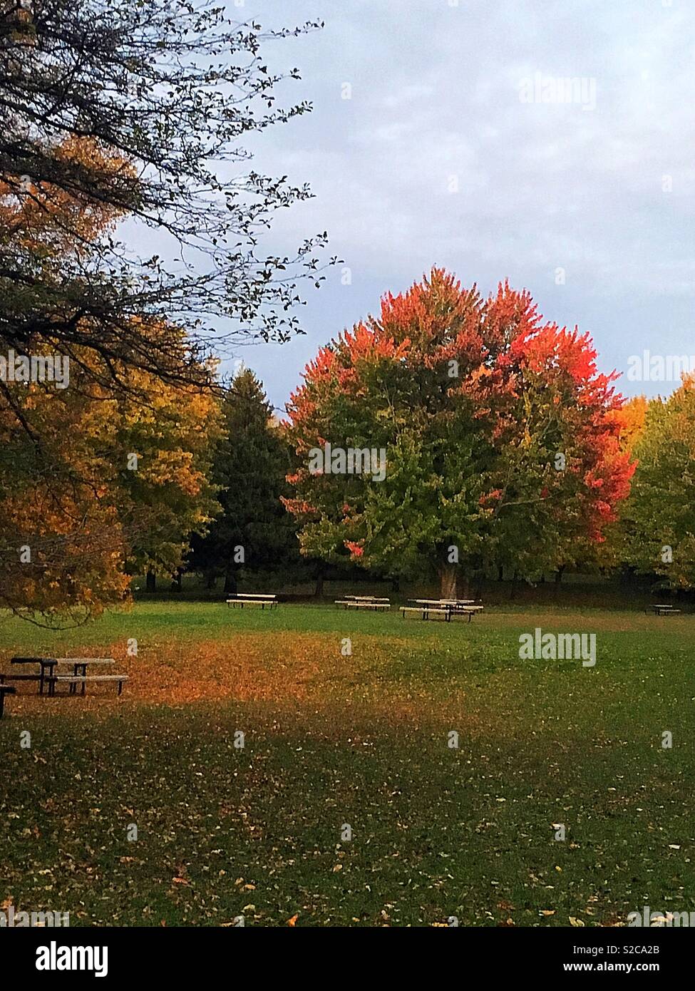 Bella stagione autunnale nei parchi pubblici Foto Stock