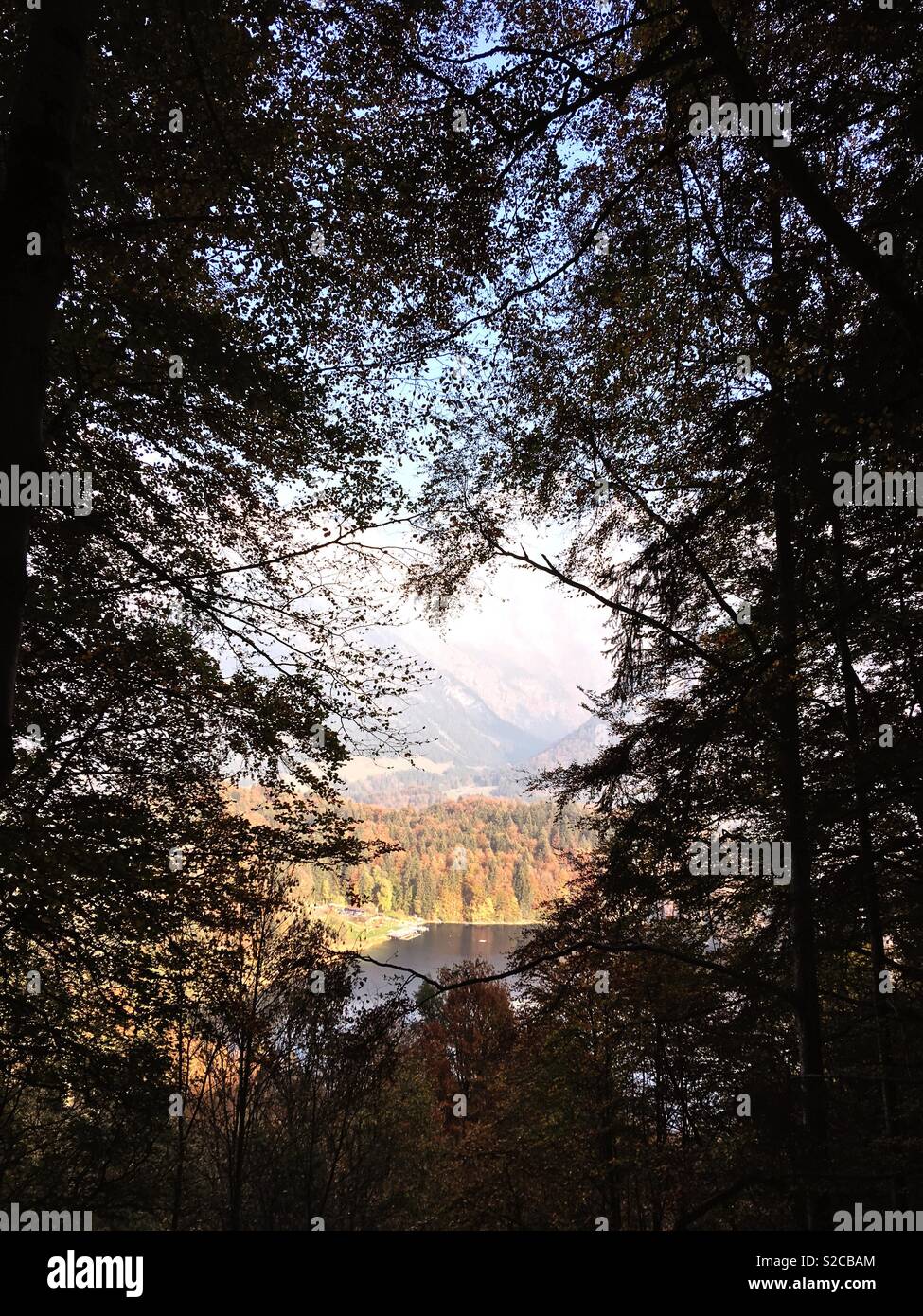 Vista - Immagine stock catturata con smartphone