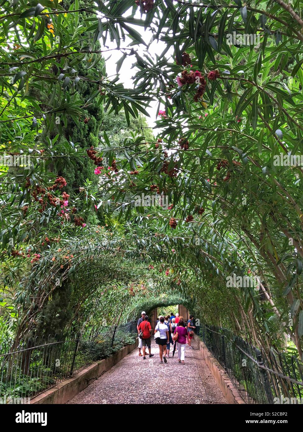 Una passerella arcuata a la Alhambra giardino. Foto Stock