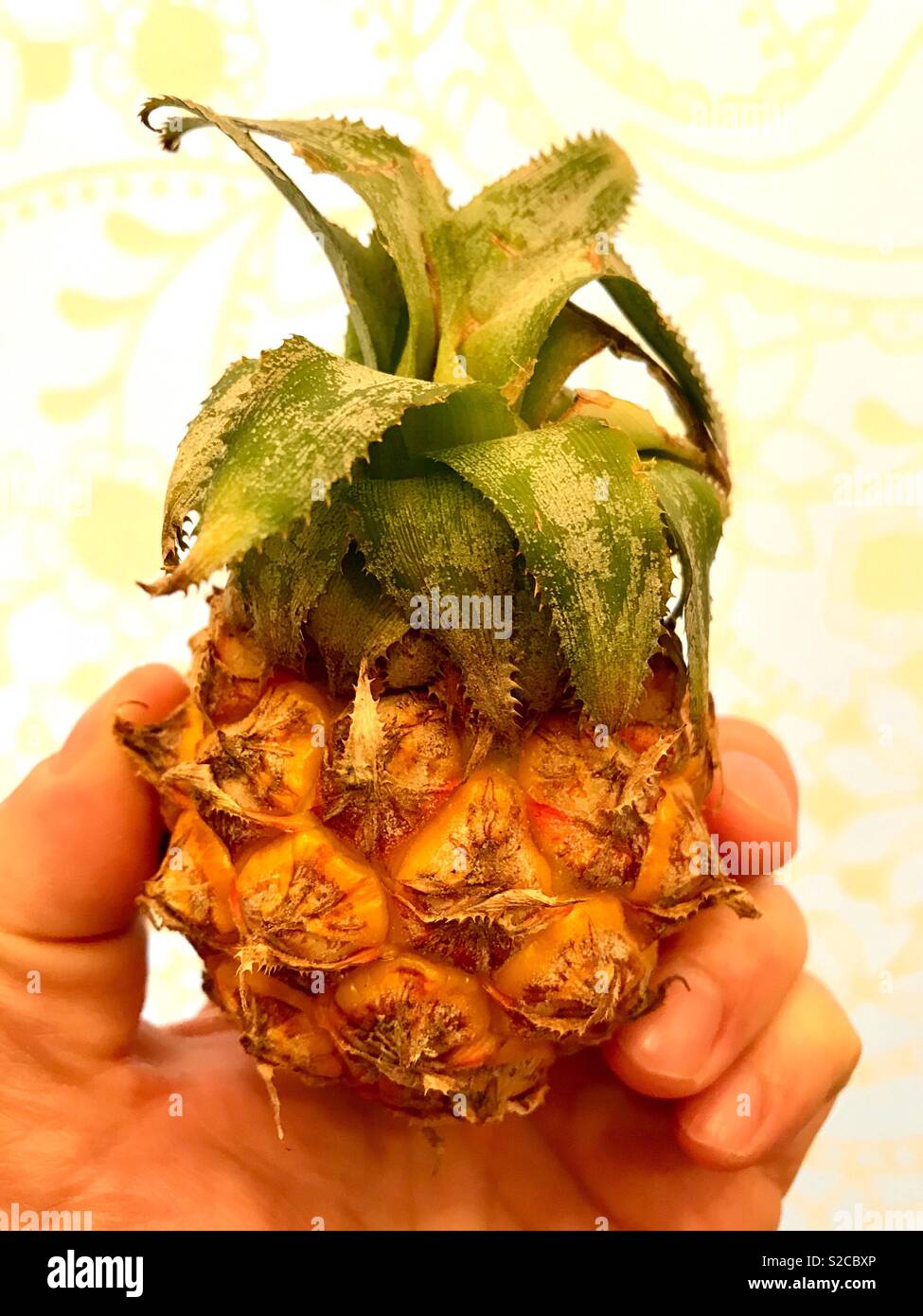 Ananas piccola - Immagine stock catturata con smartphone