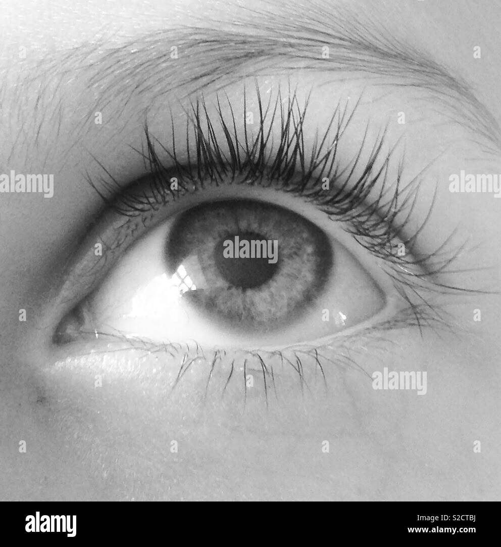 Close up di un occhio in bianco e nero Foto stock - Alamy