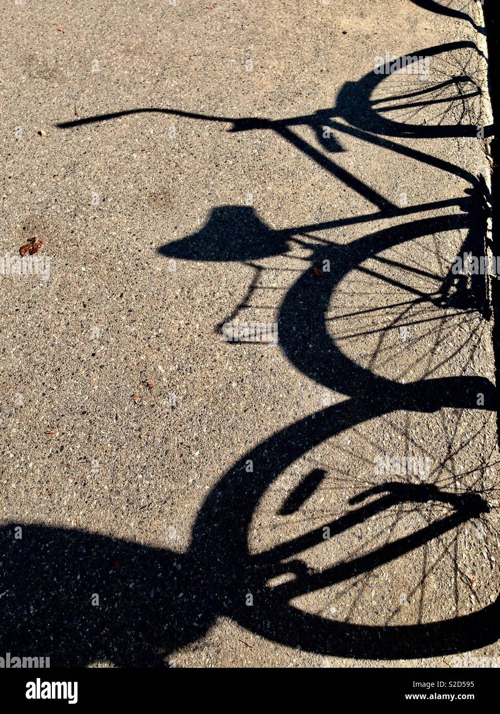 Noleggio ombre sul percorso in bicicletta in una giornata di sole Foto Stock