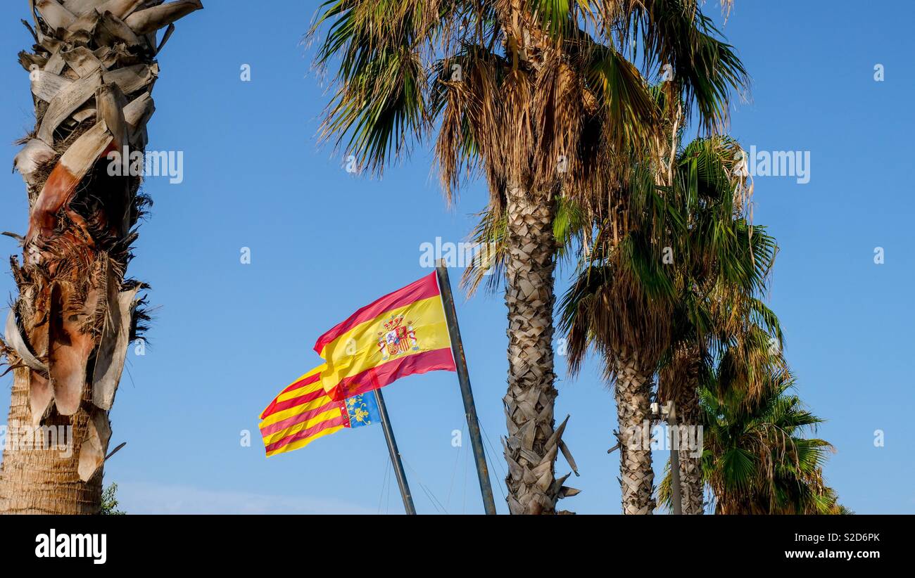Bandiera della Spagna e Valencia ballando nel vento tra alcune palme in un cielo blu chiaro Foto Stock