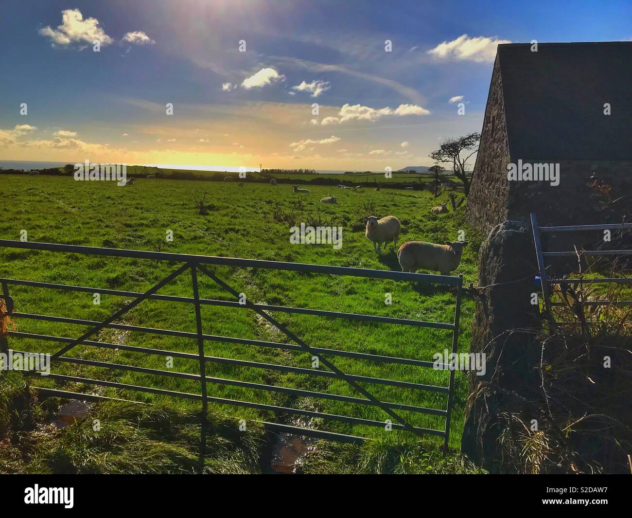 Lungomare farm at Rhiw vicino Aberdaron Ottobre 2018 Foto Stock