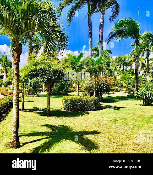 Splendidi giardini nelle isole dei Caraibi Foto Stock