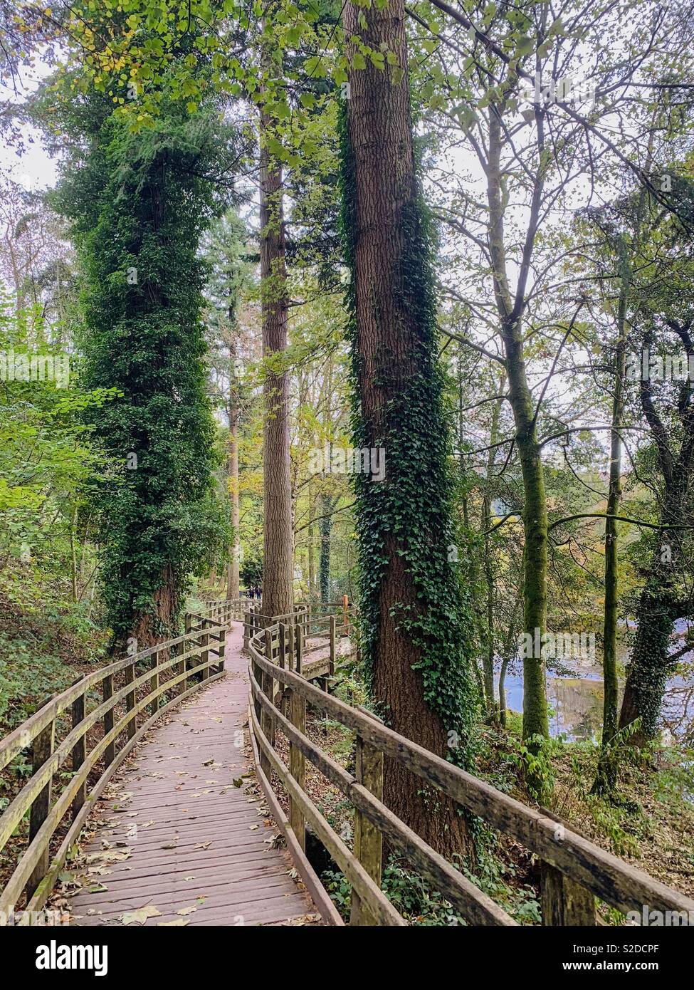 Betws-y-coed river walk Foto Stock