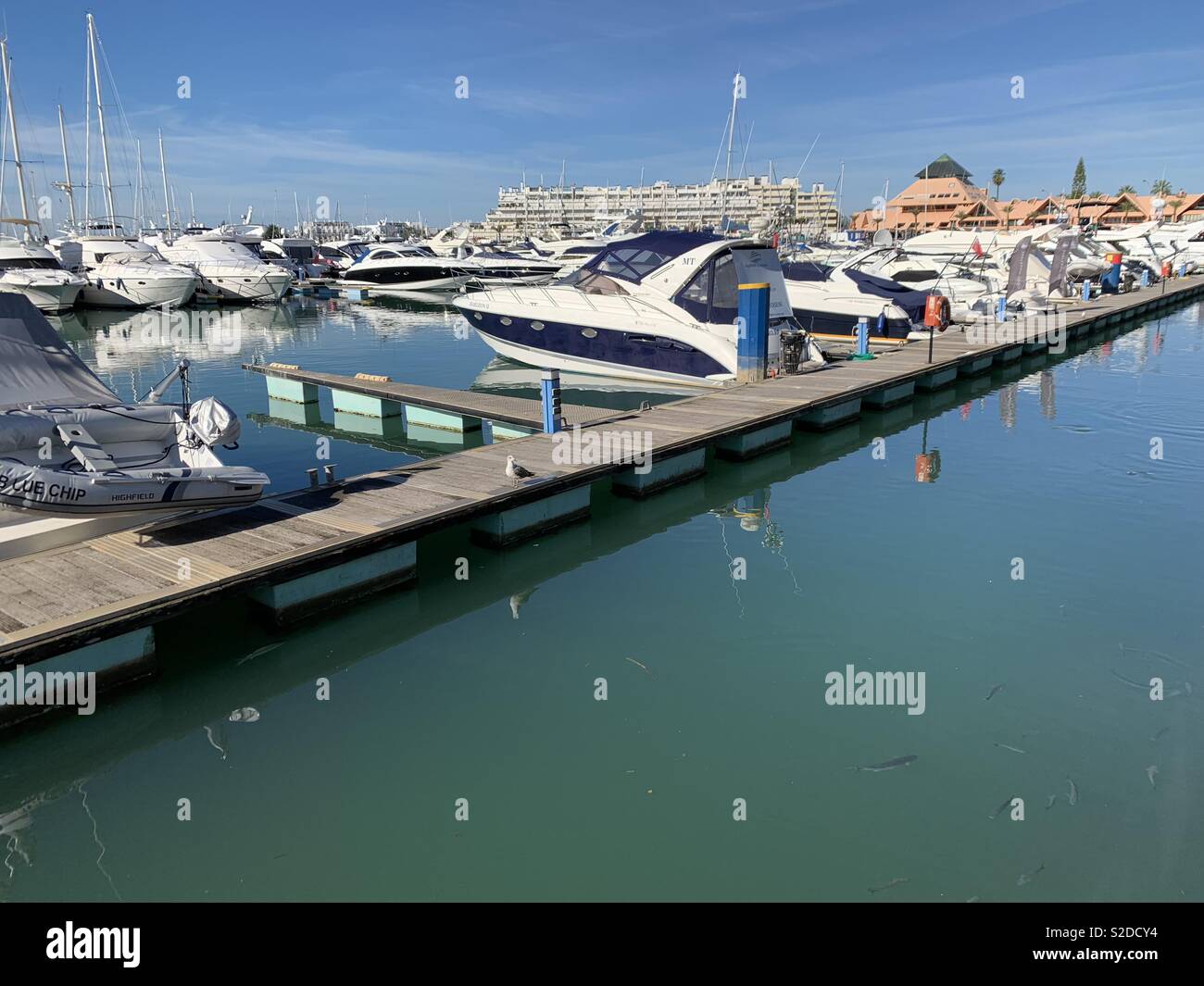 Barche, Porto,vela,pesce,Portogallo - Immagine stock catturata con smartphone