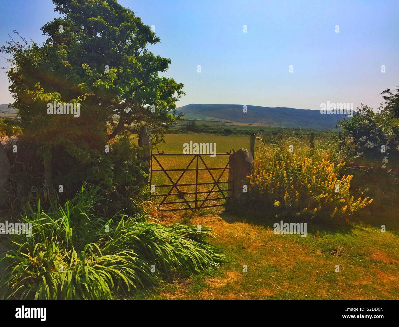Una vista da Hendy Rhiw fattoria vicino a Porth Ysgo nelle calde giornate estive di luglio 2018 Foto Stock