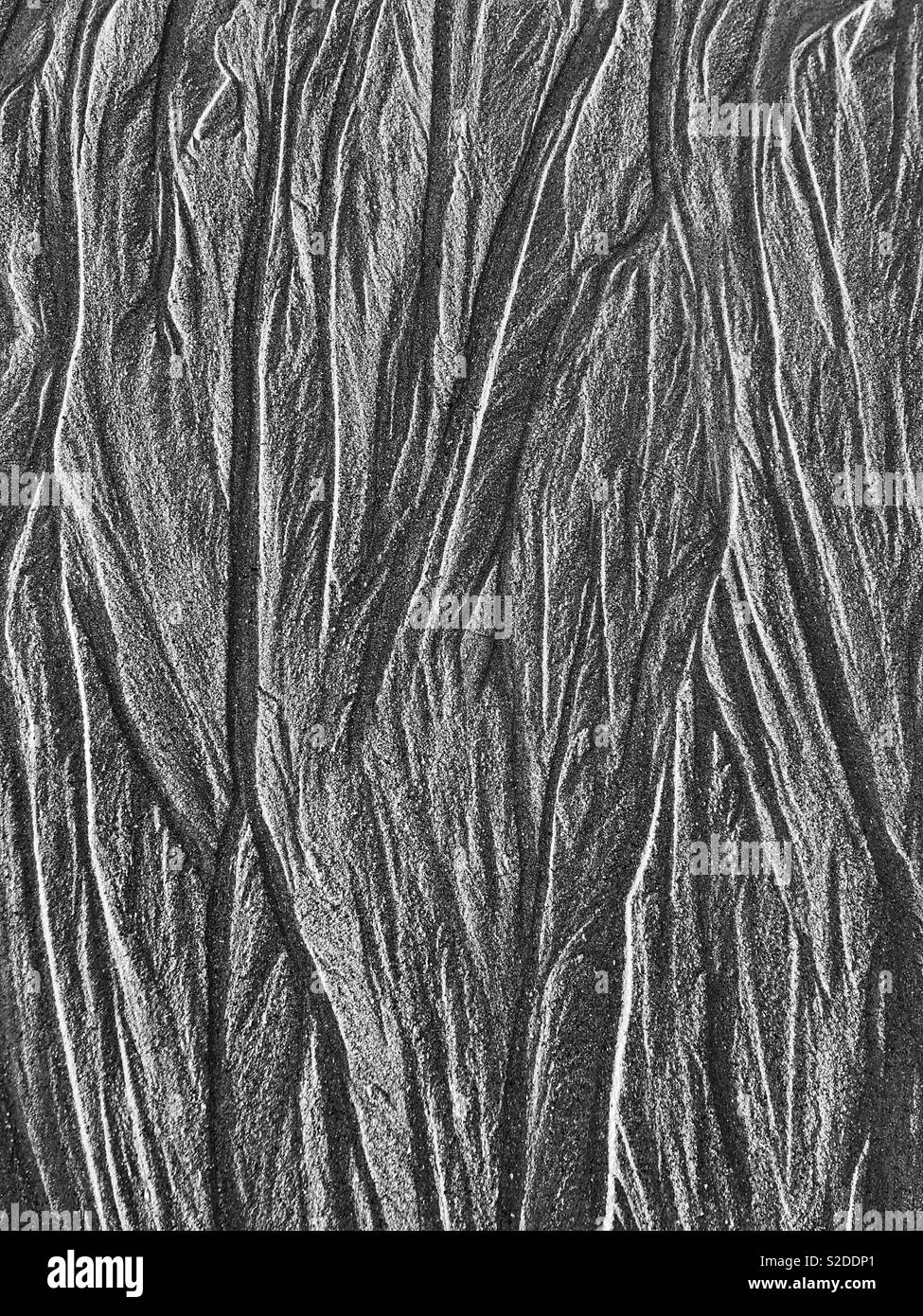 I modelli in spiaggia di sabbia causato da acqua in off. Foto Stock