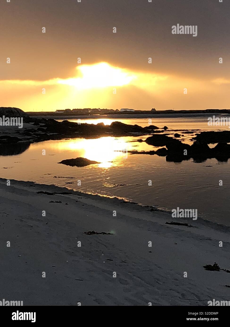 Golden Sun sulla spiaggia robusto Foto Stock