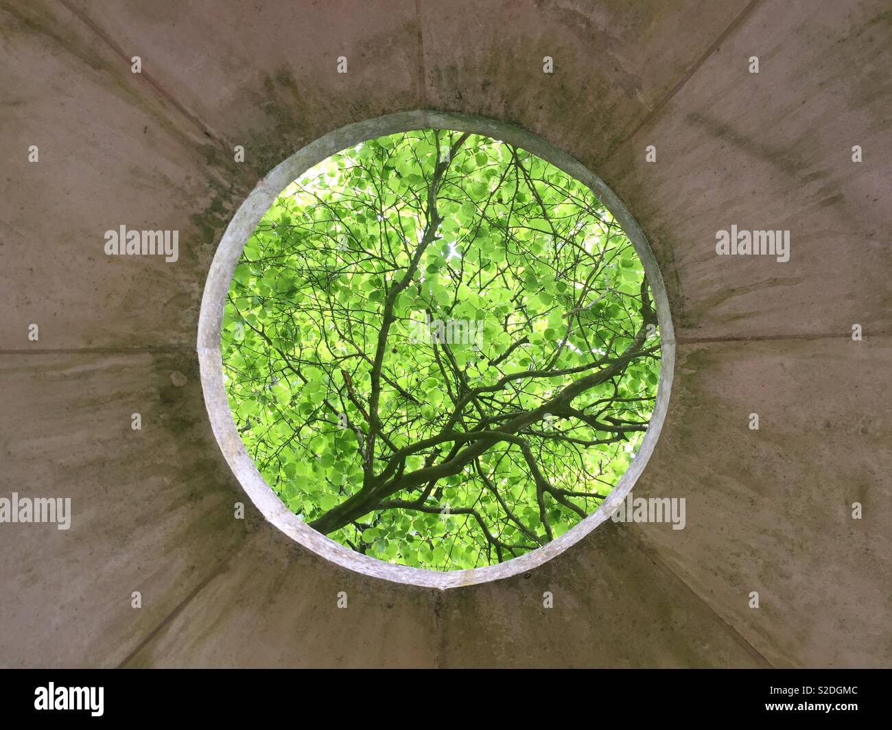 Circolari in pietra con finestra vista di alberi verdi Foto Stock