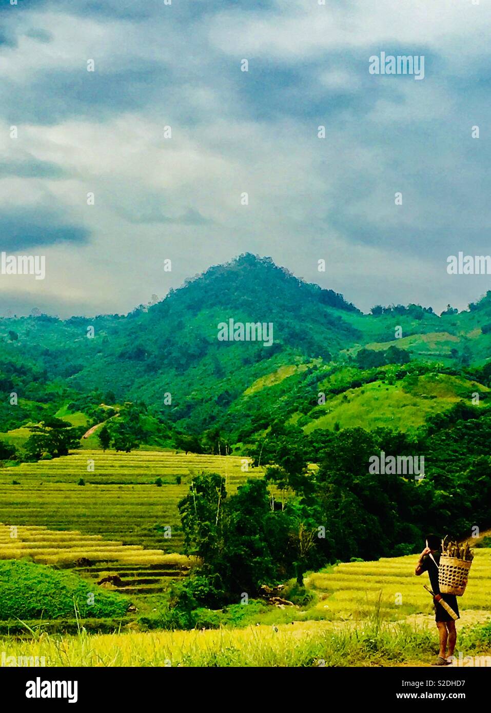 Un lahu uomo a camminare con il suo risaie. - Immagine stock catturata con smartphone