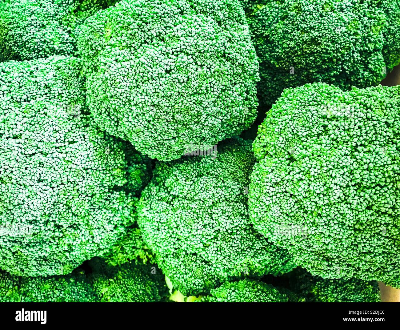 Broccolo Foto Stock
