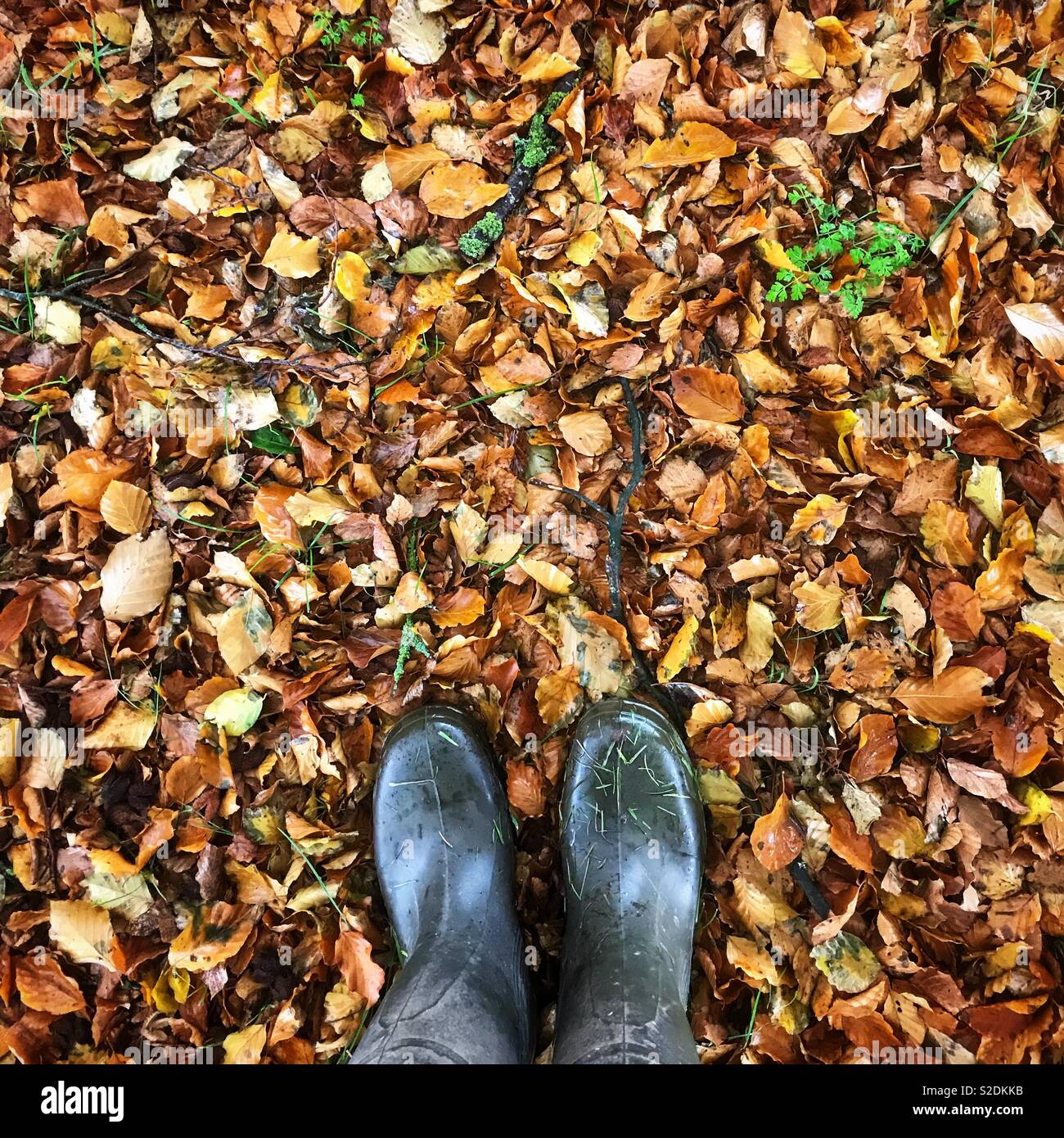 In piedi in foglie di autunno in wellingtons - Immagine stock catturata con smartphone