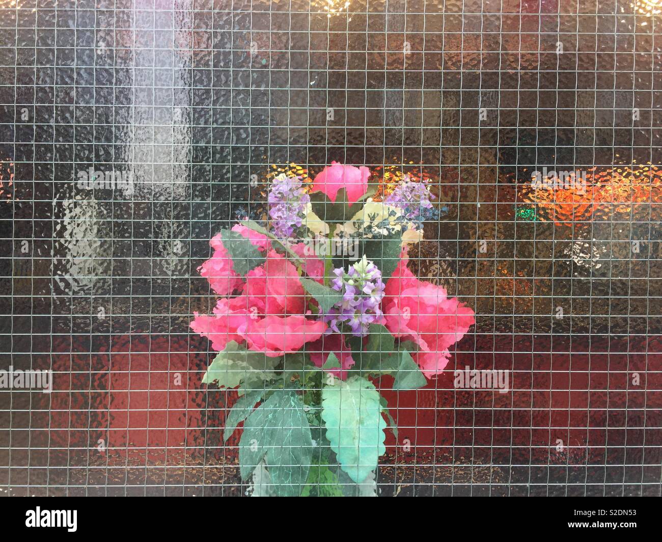 I fiori di plastica dietro il vetro rinforzato - Immagine stock catturata con smartphone