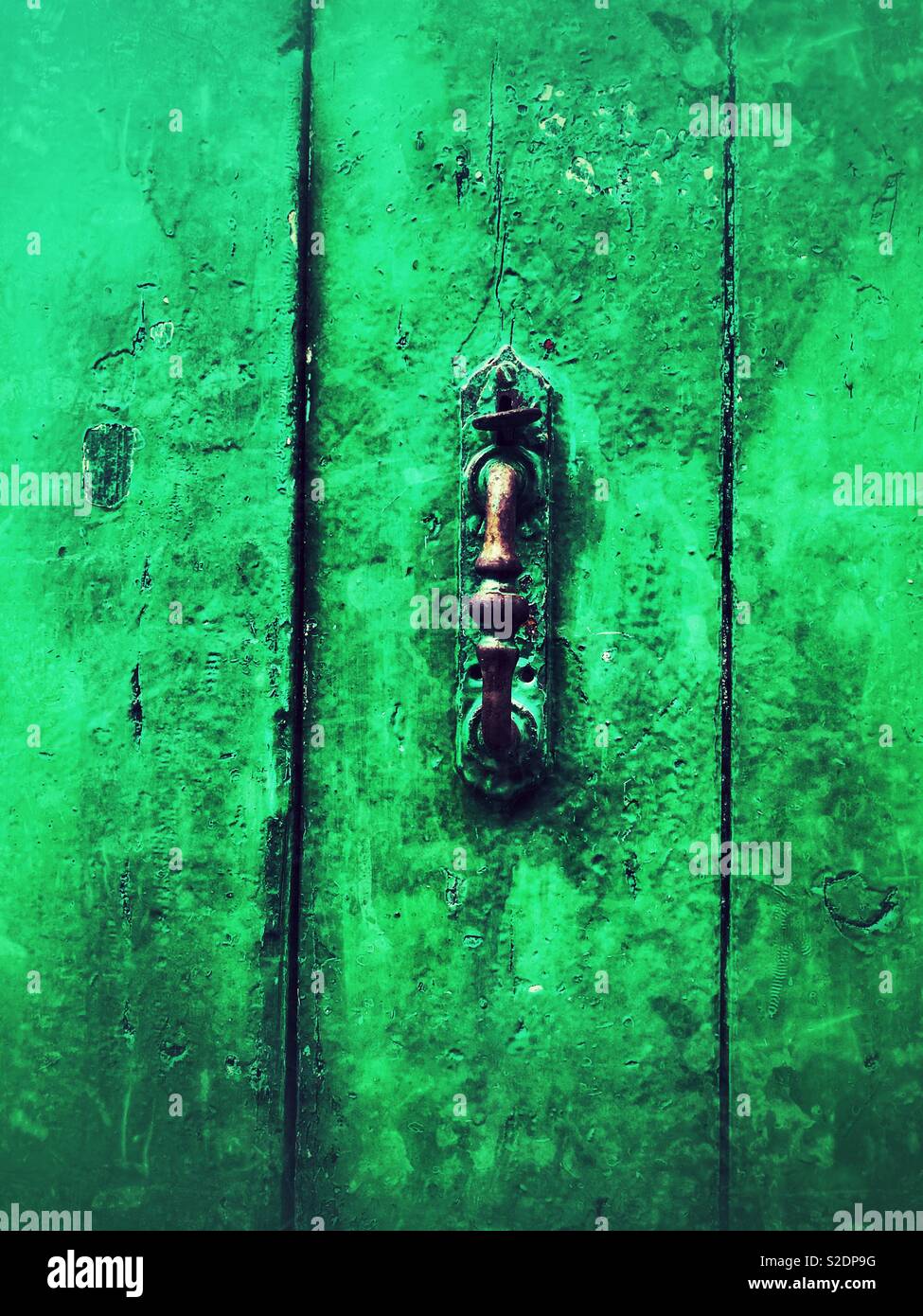 Colore verde brillante porta con maniglia in ottone - Immagine stock catturata con smartphone