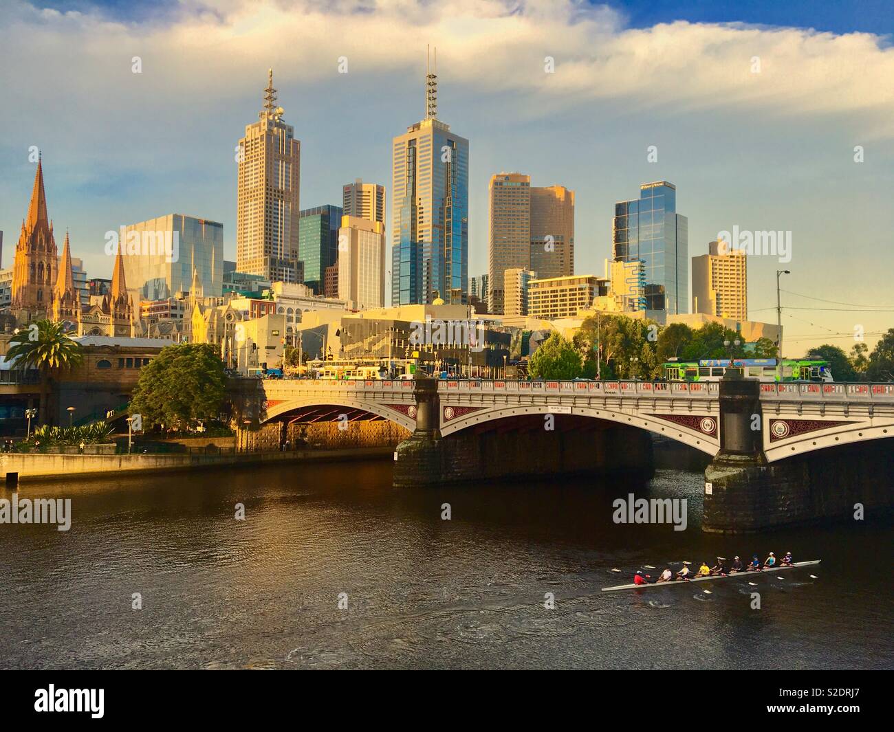 Il team di canottaggio sul fiume Yarra di Melbourne con la città di edifici in background e il Princes Bridge Foto Stock