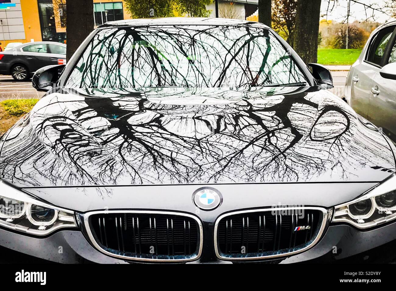 BMW M4 in condizioni di luce diurna con rami di alberi di ombre - Immagine stock catturata con smartphone