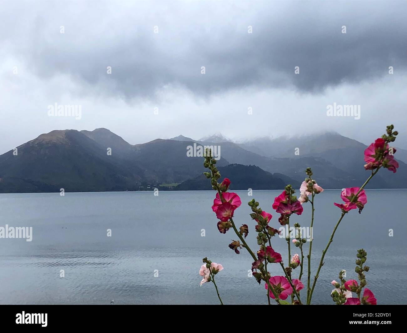 La vista da Queenstown è Walter picchi elevati di Country Farm Foto Stock