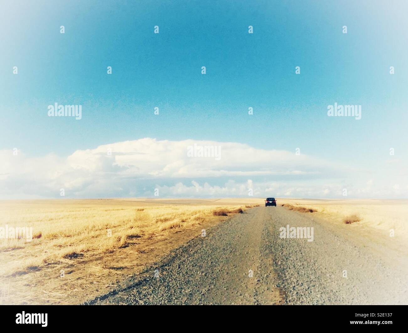 Misty foto di guida auto sul rettilineo di strada di ghiaia con campi di grano su entrambi i lati nel sud-est dello stato di Washington con un ampio orizzonte, cielo blu e nuvole espressiva - Immagine stock catturata con smartphone